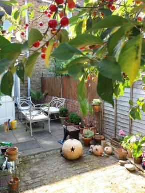 Cosy London single room (near Wimbledon)